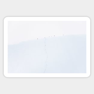 Ravens on the Wall of Ice – Minimalist Landscape Photography Sticker